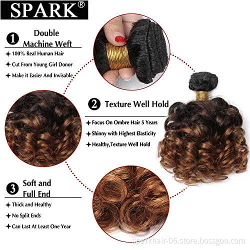 10A Ombre Bundles with Closure Brazilian 1b/4/30  Bouncy Curly  Bundles with 4x4 Lace Closure Short curly weave bundles